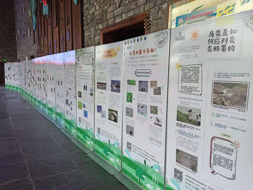 图片14.png