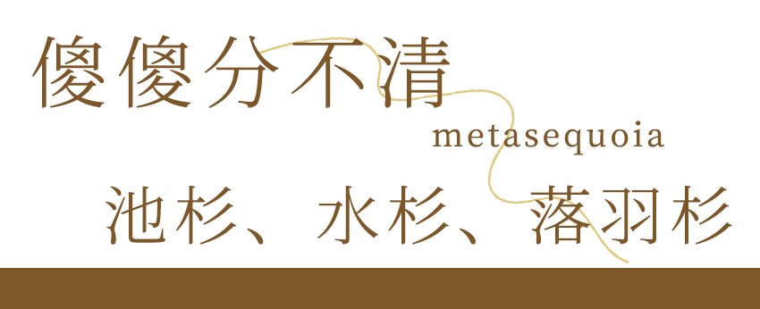 微信图片_20231220154301.png