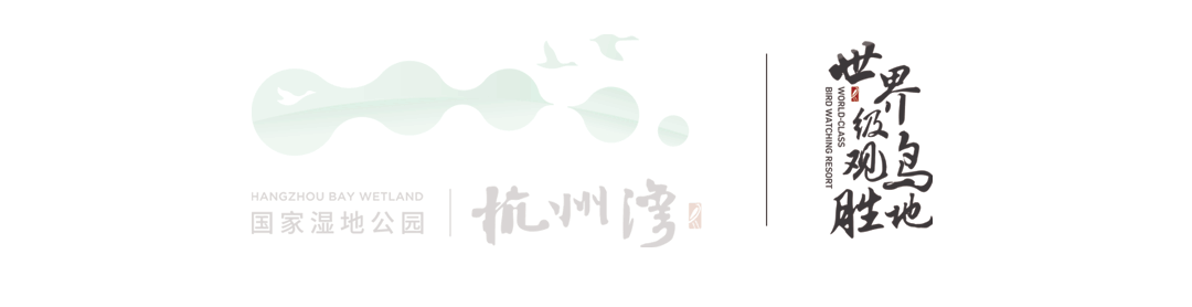 1706772685229141.gif 1-1.gif