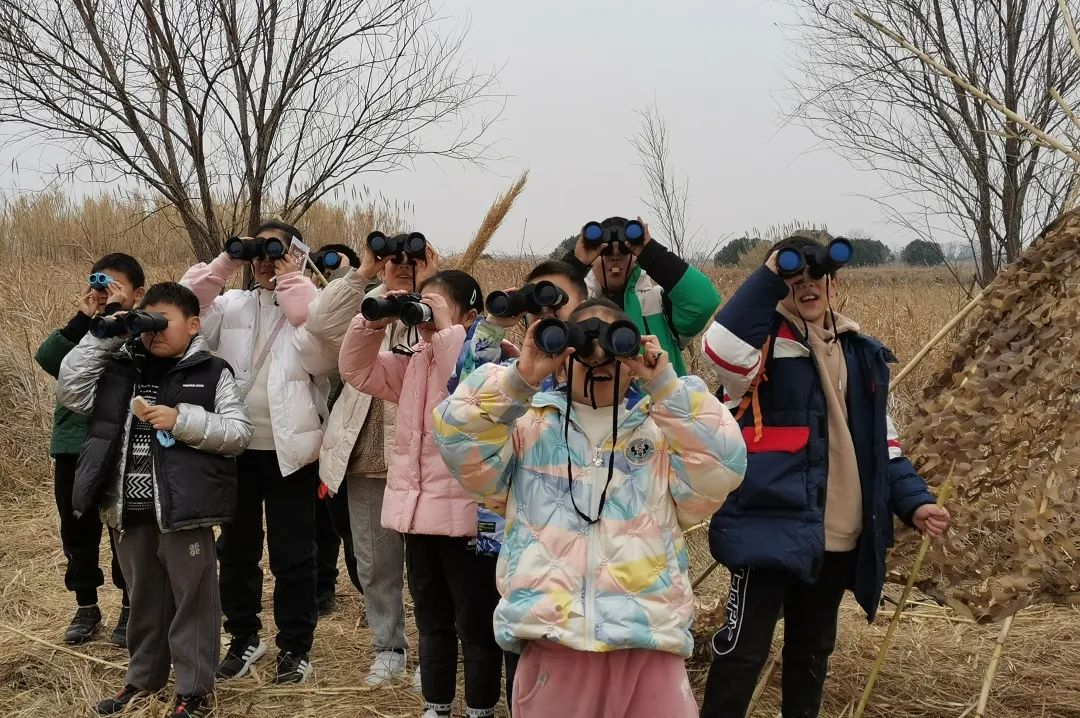 错过等一年！「户外观鸟」重磅回归！与冬候鸟说再见……